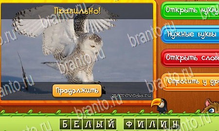 Угадай животных подсказки в контакте Уровень 285