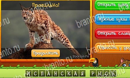 Угадай животных решения на игру из одноклассников Уровень 288