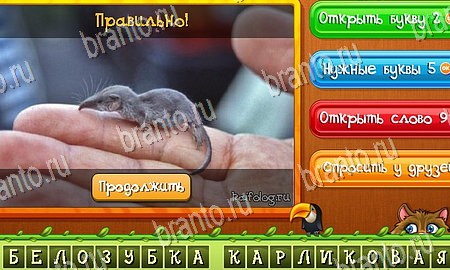 Угадай животных игра ответы на все задания Уровень 289
