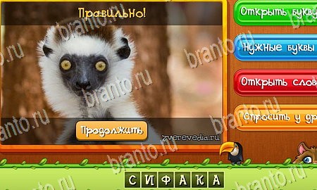 Угадай животных игра в одноклассниках помощь Уровень 291