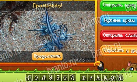 Угадай животных ответы в картинках в контакте Уровень 292