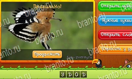 Игра Угадай животных ответы одноклассники, вк Уровень 293