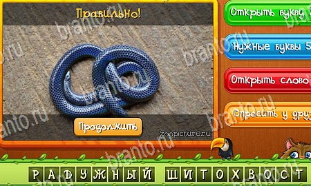 игра Угадай животных помощь одноклассники Уровень 295