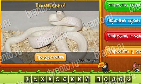 решебник на игру Угадай животных Уровень 297
