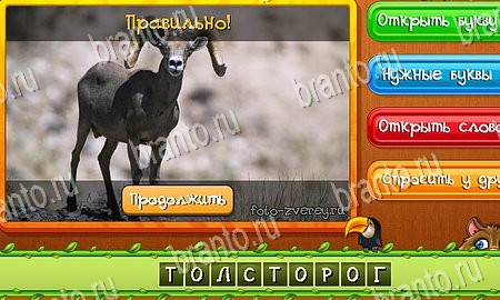 Угадай животных игра из одноклассников решения Уровень 298