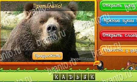 Угадай животных игра вконтакте подсказки Уровень 300