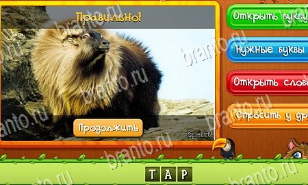 ответы на игру Угадай животных в одноклассниках Уровень 301