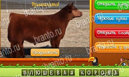 ответы на игру Угадай животных в одноклассниках Уровень 302