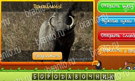 Решения на игру Угадай животных Эпизод 13 Уровень 304