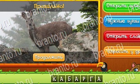 Игра 101 картинка животные уровень 70