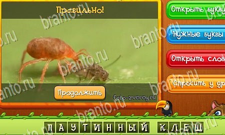 ответы к игре Угадай животных в контакте Уровень 306