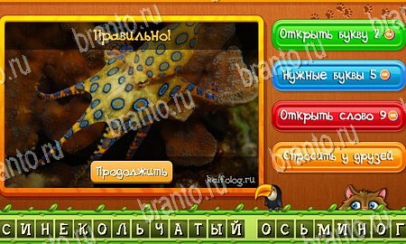 ответы на игру в одноклассниках Угадай животных Уровень 307