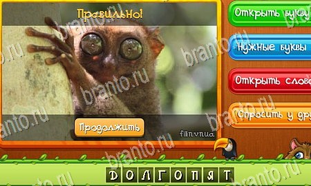 Угадай животных игра ответы в одноклассниках Уровень 308