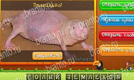 решебник на игру Угадай животных Уровень 312