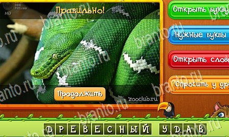 Угадай животных решения на игру из одноклассников Уровень 313