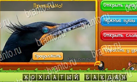 Угадай животных игра ответы на все задания Уровень 314