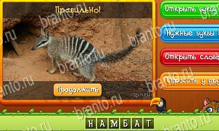 Угадай животных игра в контакте подсказки Уровень 315