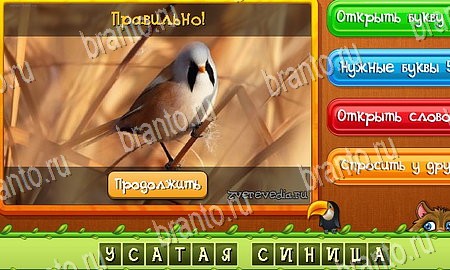 Угадай животных игра в одноклассниках помощь Уровень 316