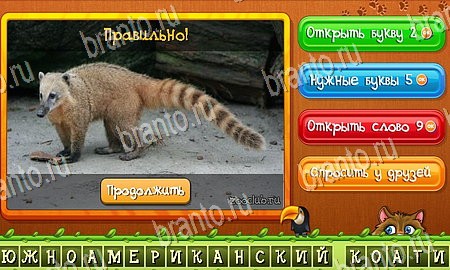 Угадай животных ответы в картинках в контакте Уровень 317