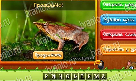 Игра Угадай животных ответы одноклассники, вк Уровень 318