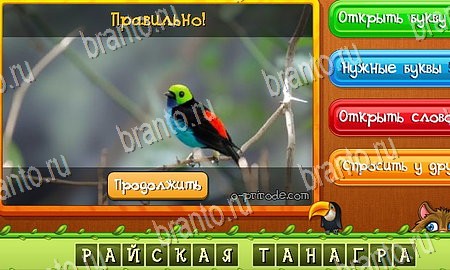 Игра Угадай животных подсказки вк Уровень 319