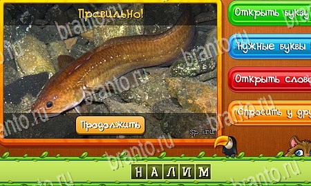 игра Угадай животных помощь одноклассники Уровень 320