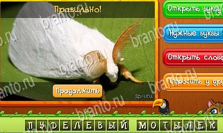 решебник на игру Угадай животных Уровень 322