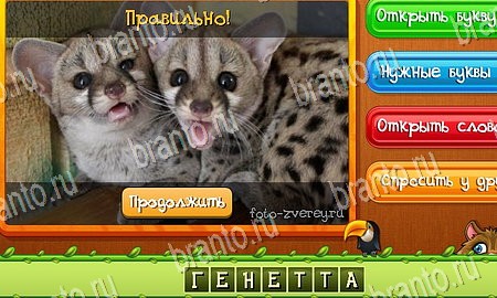 Угадай животных игра из одноклассников решения Уровень 323