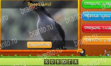 Угадай животных игра подсказки Уровень 325