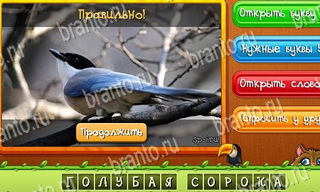 ответы на игру Угадай животных в одноклассниках Уровень 326