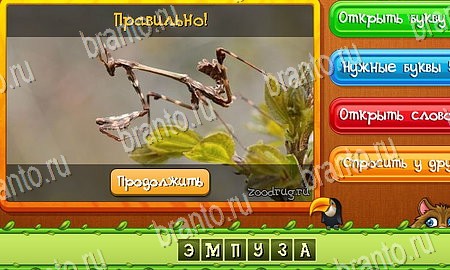ответы на игру Угадай животных в одноклассниках Уровень 327