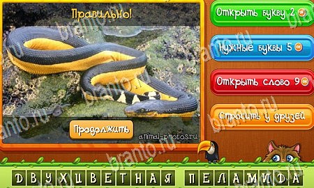 Подсказки на игру Угадай животных Эпизод 14 Уровень 328