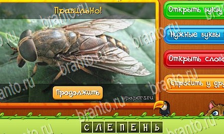 Помощь на игру ВК Угадай животных Уровень 330