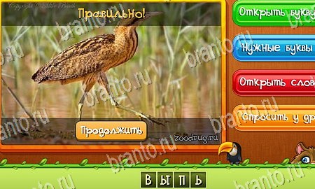 ответы к игре Угадай животных в контакте Уровень 331
