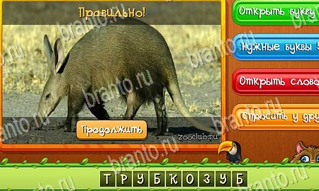 ответы на игру в одноклассниках Угадай животных Уровень 332