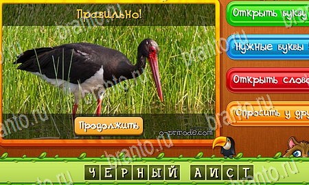 Угадай животных игра ответы в одноклассниках Уровень 333