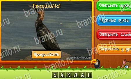 Угадай животных подсказки в контакте Уровень 335