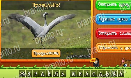 игра Угадай животных разгадки, ответ на Уровень 336