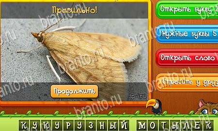 решебник на игру Угадай животных Уровень 337