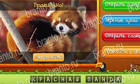 Угадай животных решения на игру из одноклассников Уровень 338