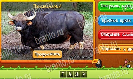 Угадай животных игра ответы на все задания Уровень 339