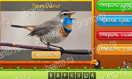 Угадай животных игра в контакте подсказки Уровень 340