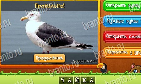 Угадай животных игра в одноклассниках помощь Уровень 341