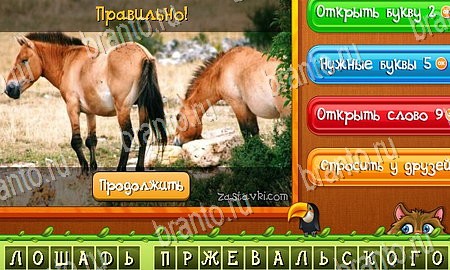 Угадай животных ответы в картинках в контакте Уровень 342