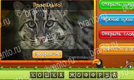 Игра Угадай животных ответы одноклассники, вк Уровень 343