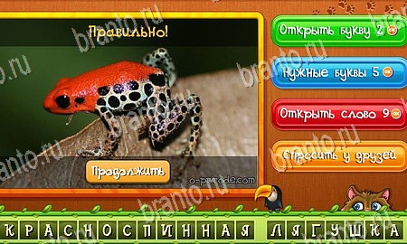 игра Угадай животных ответы в одноклассниках на Уровень 346