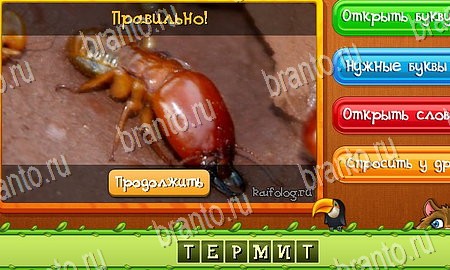 решебник на игру Угадай животных Уровень 347