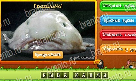 Угадай животных игра из одноклассников решения Уровень 348