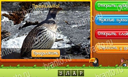 Угадай животных игра ответы ВК Уровень 349