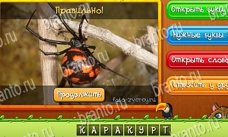 Решения на игру Угадай животных Эпизод 15 Уровень 354